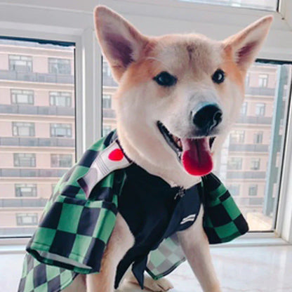 Demon Slayer Anime Pet Costume, Kimetsu no Yaiba Dog Cat Cosplay Outfit, Tanjiro Rengoku Shinobu Nezuko Pet Kimono Clothes, Halloween Cosplay Dress Up for Small Medium Pets, Anime Pet Photo Prop