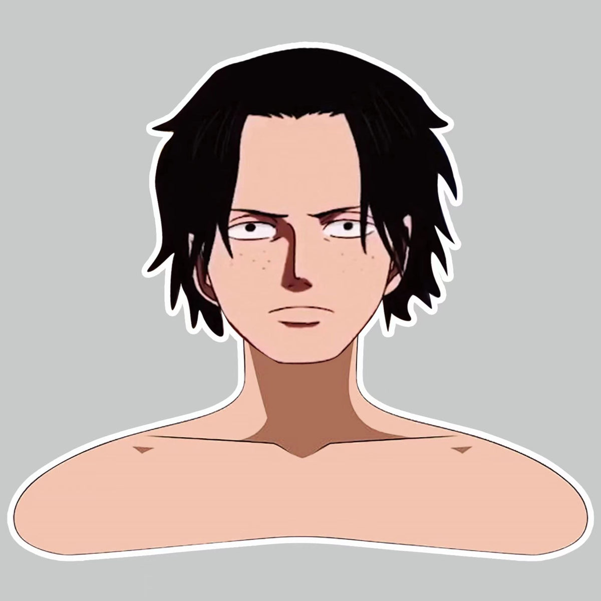 One Piece Anime Stickers, Luffy Zoro Nami Sanji Ace Chopper Waterproof Vinyl Decals, Laptop Water Bottle Skateboard Stickers, One Piece Fan Collectible Sticker Packer